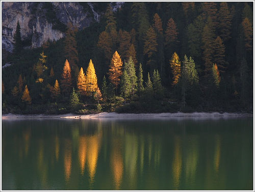 eMacromall.com - USA - Autumn!