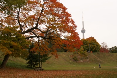 eMacromall.com - Autumn!