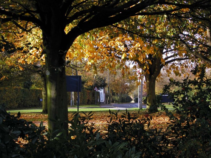 eMacromall.com - Autumn!