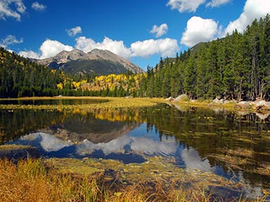 eMacromall.com - Autumn!