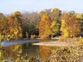 eMacromall.com - Autumn!