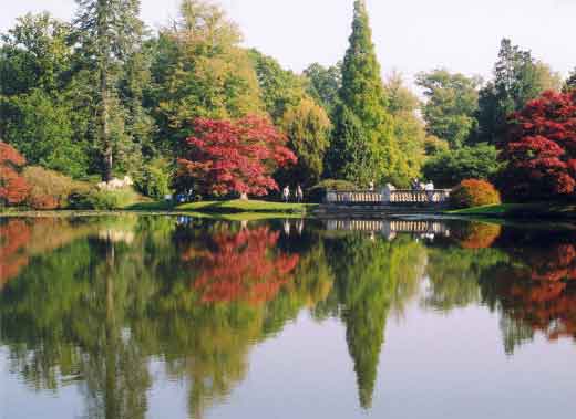 eMacromall.com - Autumn!