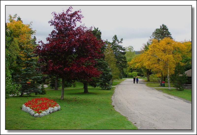 eMacromall.com - Autumn!