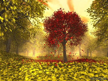 eMacromall.com - Autumn!