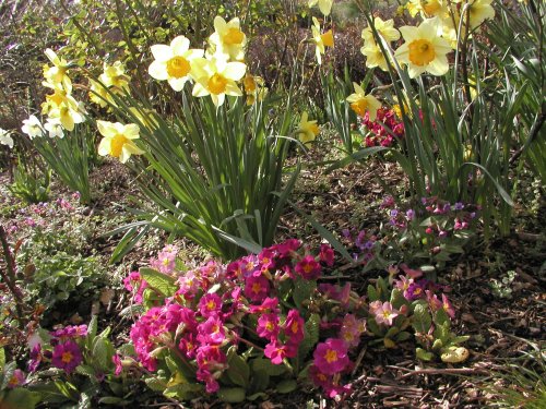 eMacromall.com - USA - Spring!