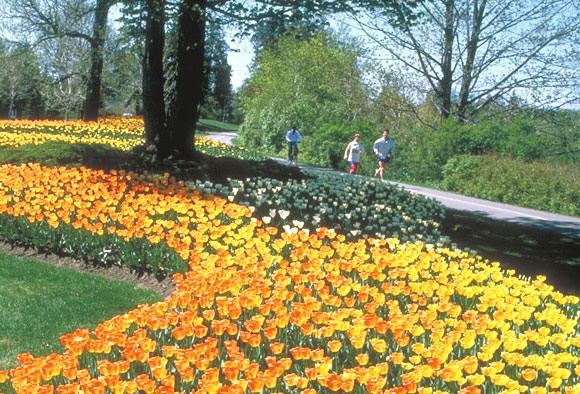 eMacromall.com - Spring!
