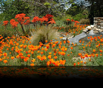 eMacromall.com - Spring!