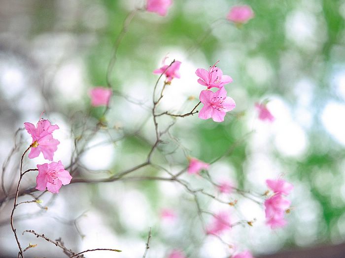 eMacromall.com - Spring!