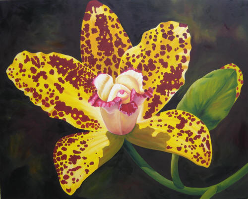 eMacromall.com - Beautiful flowers!