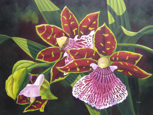 eMacromall.com - Beautiful flowers!