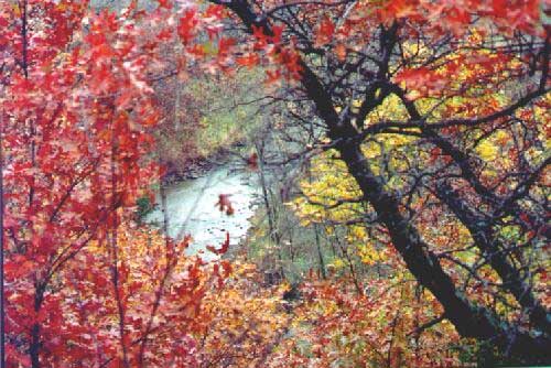 eMacromall.com - USA - Autumn!
