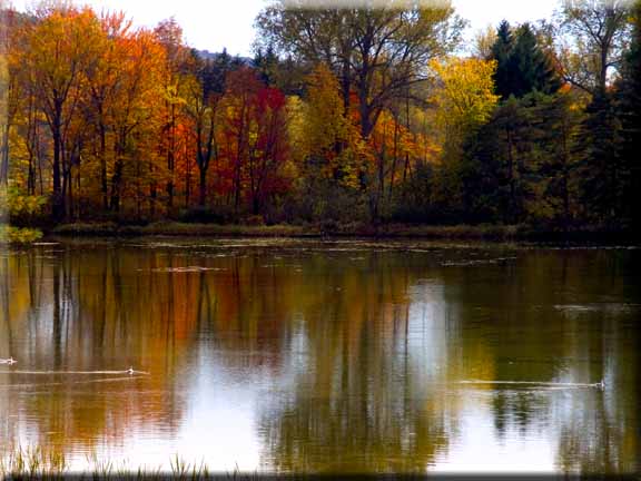 eMacromall.com - USA - Autumn!