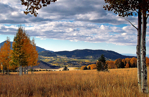 eMacromall.com - Autumn!