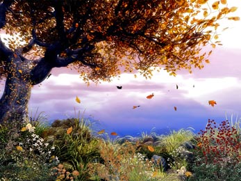eMacromall.com - USA - Autumn!