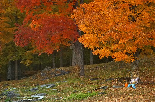eMacromall.com - Autumn!