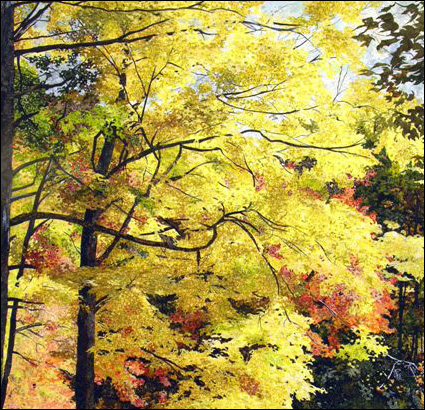 eMacromall.com - Autumn!