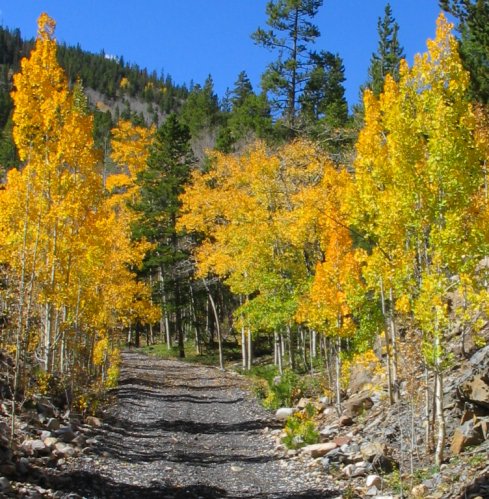 eMacromall.com - Autumn!
