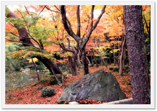 eMacromall.com - Autumn!