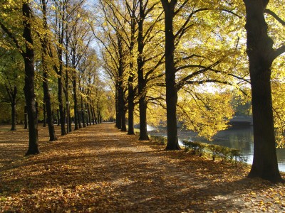 eMacromall.com - Autumn!