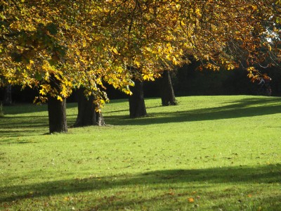 eMacromall.com - USA - Autumn!