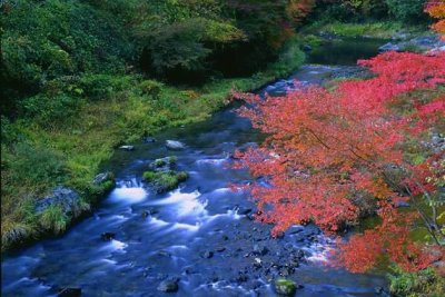eMacromall.com - Autumn!