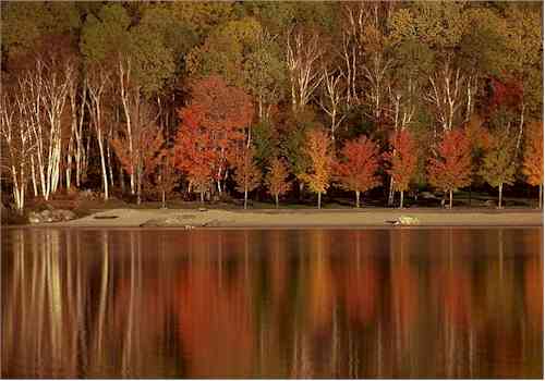 eMacromall.com - Autumn!