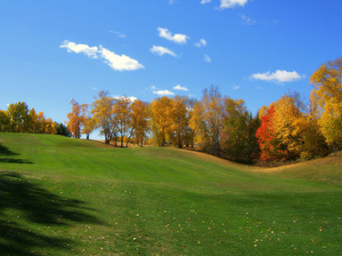 eMacromall.com - Autumn!