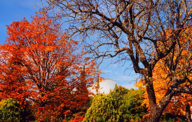 eMacromall.com - Autumn!