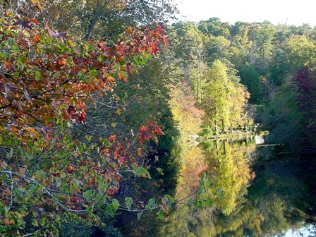 eMacromall.com - Autumn!