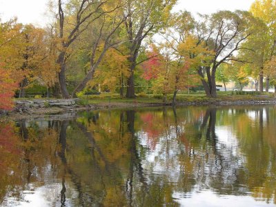 eMacromall.com - Autumn!