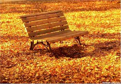 eMacromall.com - Autumn!
