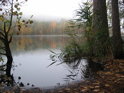 eMacromall.com - Autumn!