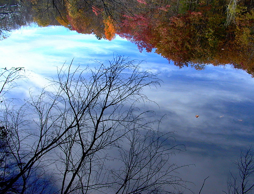 eMacromall.com - Autumn!